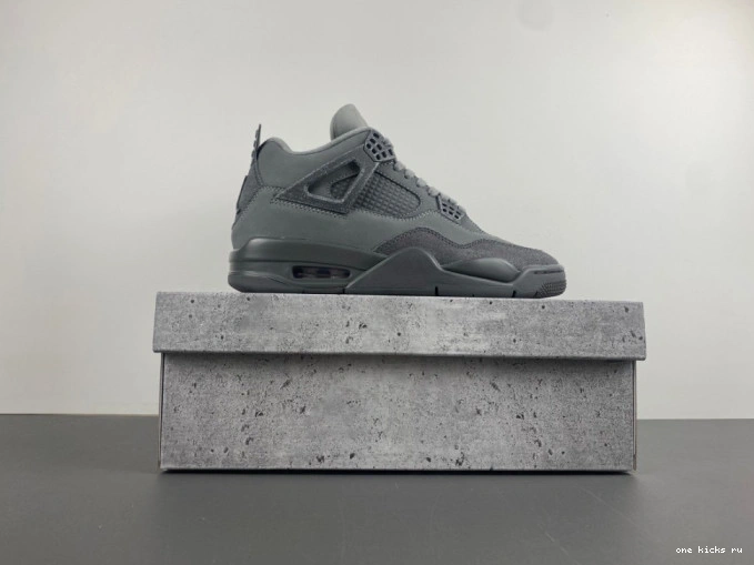 Rep Paris SE Olympics Jordan Air 4 0712